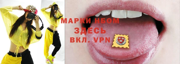 mix Богородицк
