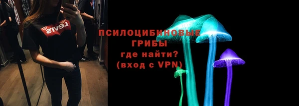 бошки Верхний Тагил