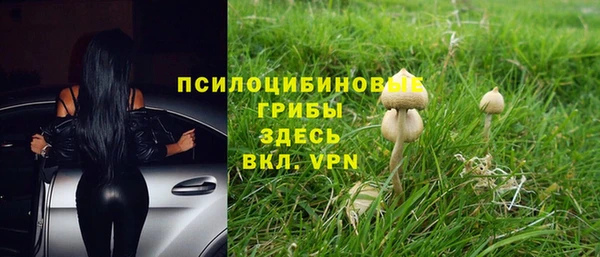 mix Богородицк