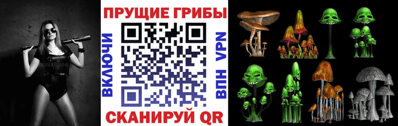 МЕГА как войти  Ворсма  Псилоцибиновые грибы GOLDEN TEACHER 